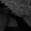 maelwrld17_