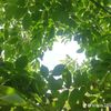 paraqueentrasinohaynada