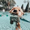 pinkoodie_21