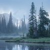 lakeinthefog