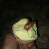 agus171022