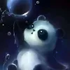 mehhobichang