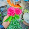 nurse_swopna_ritu73