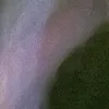iiaspg1