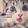 o_zawarka_o