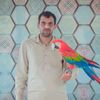 muhammadaleem897