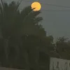 moon501xz