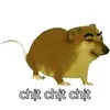 memevv36