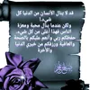 sawsan1427