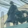 thhoanhdz_432165