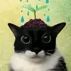 syperminion