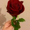 user1378117019276nona