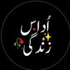 sardar_zain_302