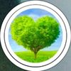 sehamadly295