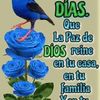 josefinacoc38