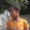 shieal3