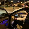 boz_qurd6868