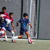 e.cruz2_