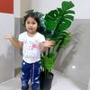 elizabethlasexi
