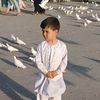 nasretullah12