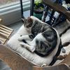 jellybeansrgood