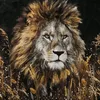 loewe_02