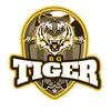 bgtigergaming_fb