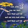 user7602503224125