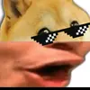 poggodoggotiadoro