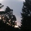 deviaramadani3