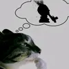 spider_goat