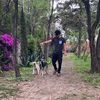 jocar_99