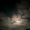 lolaa_713