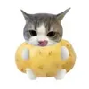 thi_qwn.17