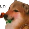 chinchin1113_