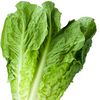 salatiksr1