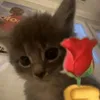 sleepyjeroym