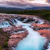 fred_7805