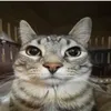 user1b58xqqih0
