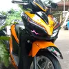 nervinesvier28