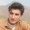 farooqjani784