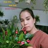 inh.t.linh