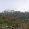rawapasha752