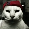 nikceviic_j