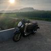 dazz641