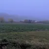 iamtotallynotamushroom