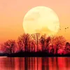 peacenlove754
