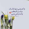 sallyfekry130