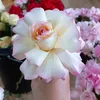 rubyhong328