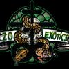 zoexotics13